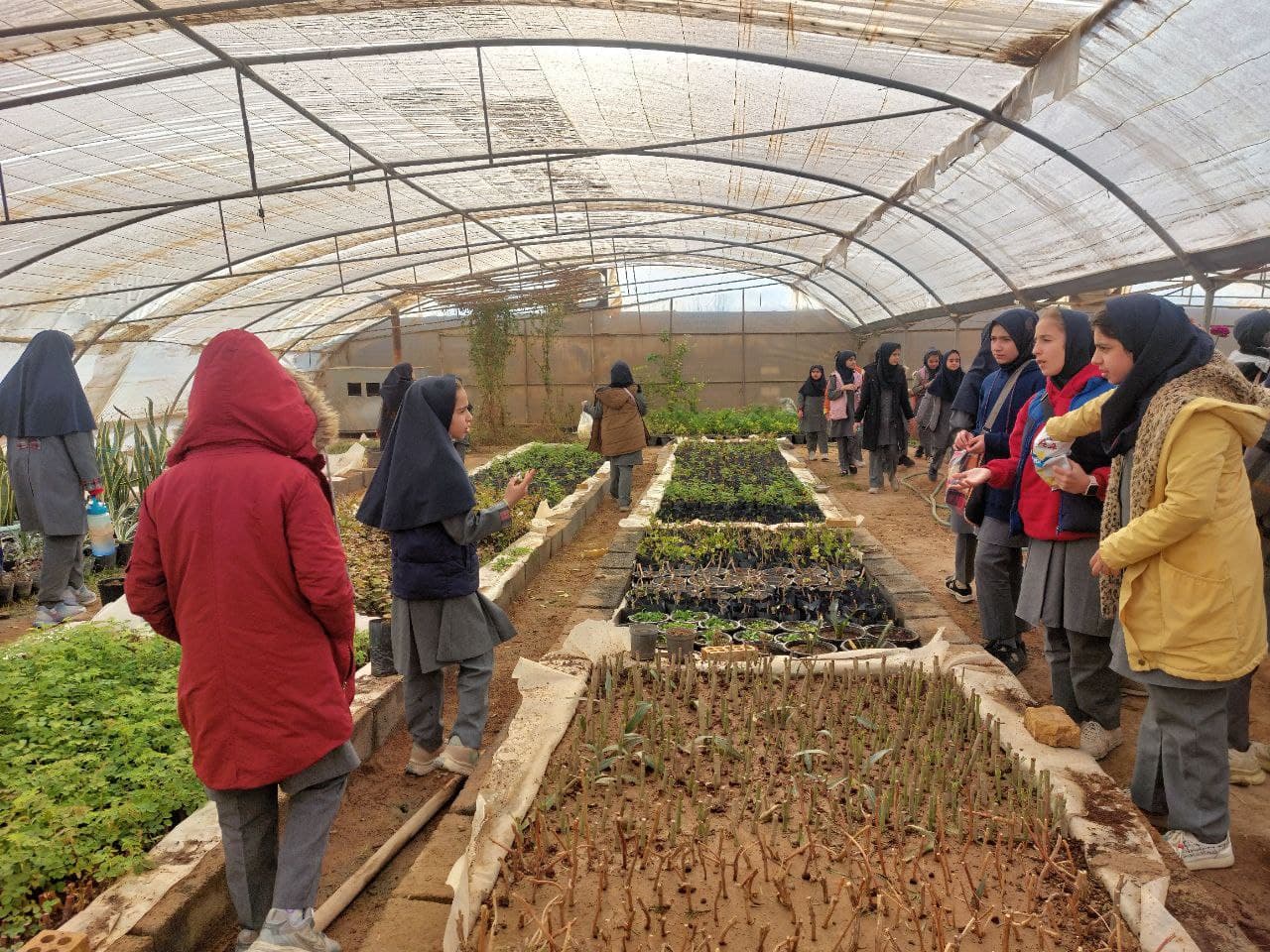 دبستان غیردولتی کوثر